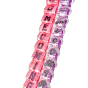 Homecoming Letters on Loops – Premade Homecoming Mum Braid