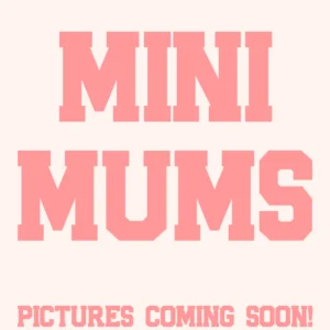 Mini Homecoming Mum
