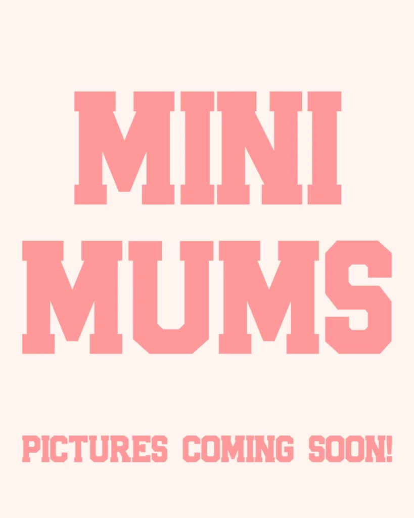 Mini Homecoming Mum