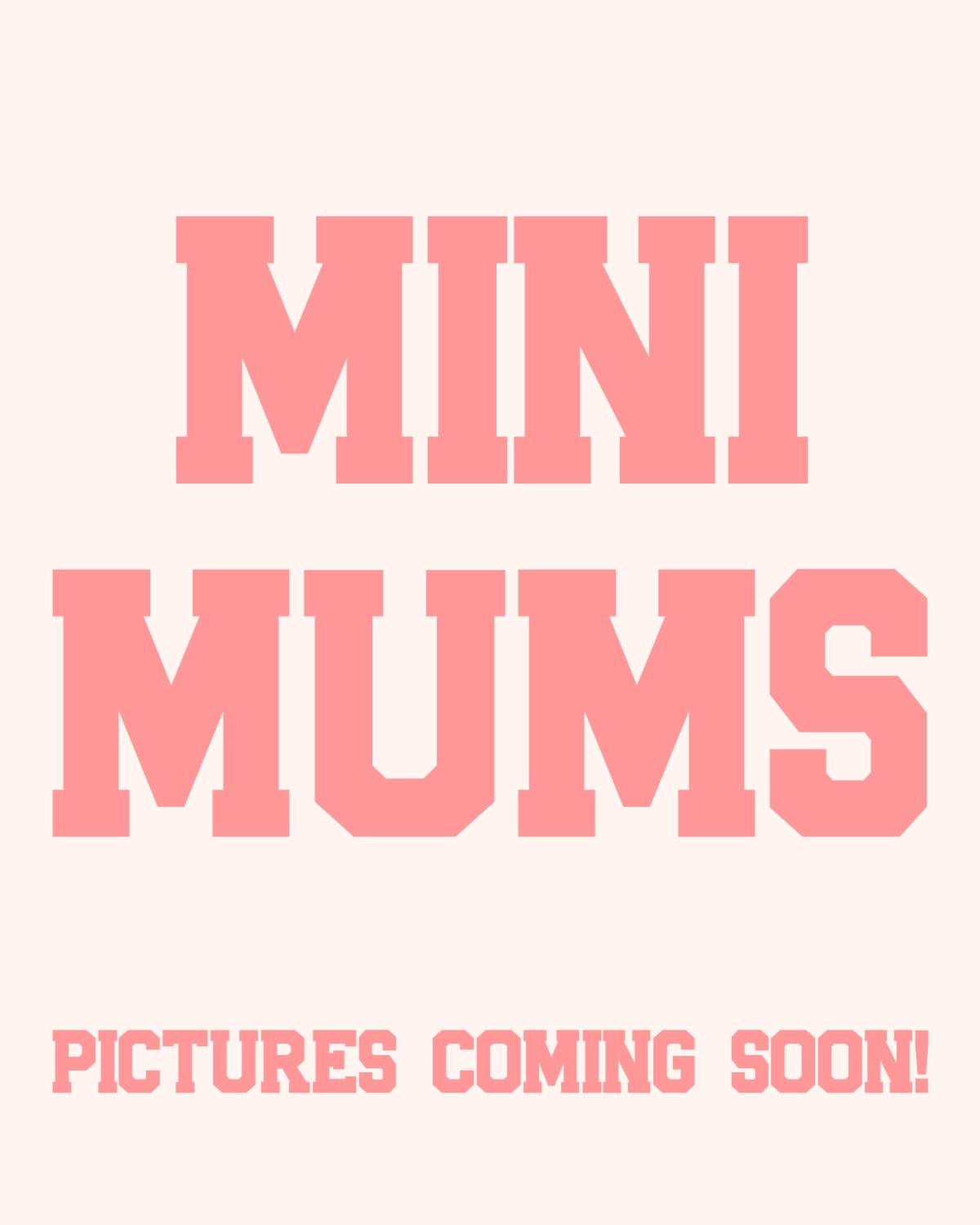 Mini Homecoming Mum